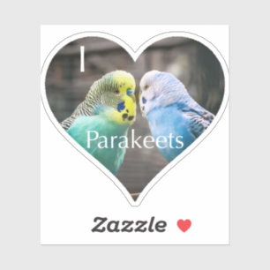 I Love Parakeets