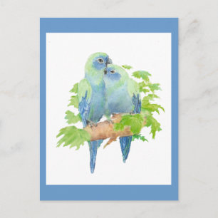 I love Parrots, Tropical Bird Collection Postcard