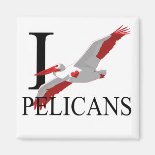 I Love Pelicans Magnets