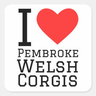 I love pembroke welsh corgis square sticker