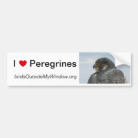 I Love Peregrines Pittsburgh