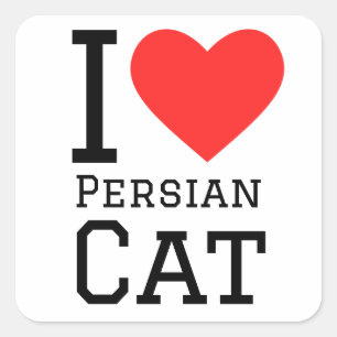 I love Persian cat  Square Sticker