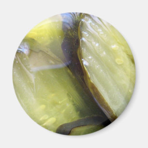 I Love Pickles Magnet