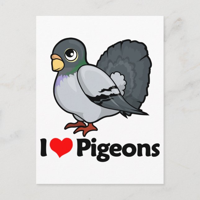 I Love Pigeons Postcard (Front)
