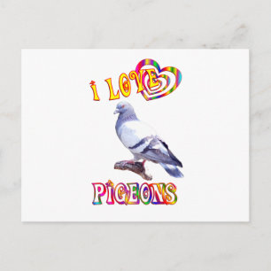 I Love Pigeons Postcard