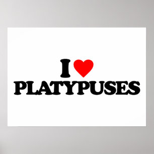 I LOVE PLATYPUSES POSTER
