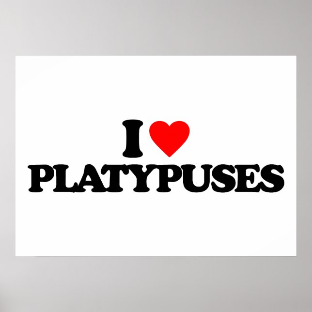 I LOVE PLATYPUSES POSTER (Front)