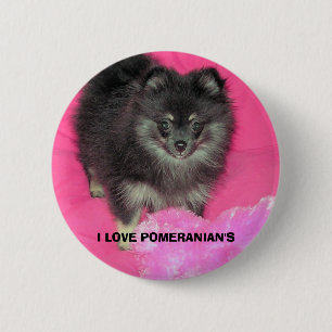 I LOVE POMERANIAN'S 6 CM ROUND BADGE