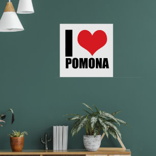 I love Pomona Poster