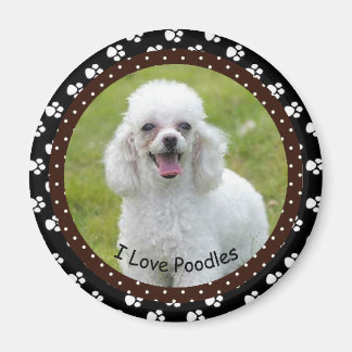 I love Poodles Magnet