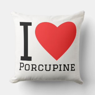 I love porcupine cushion