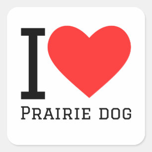 I love prairie dog square sticker