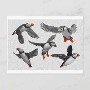 I Love Puffins! Postcard