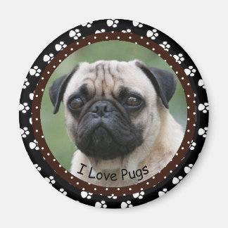 I love Pugs Magnet