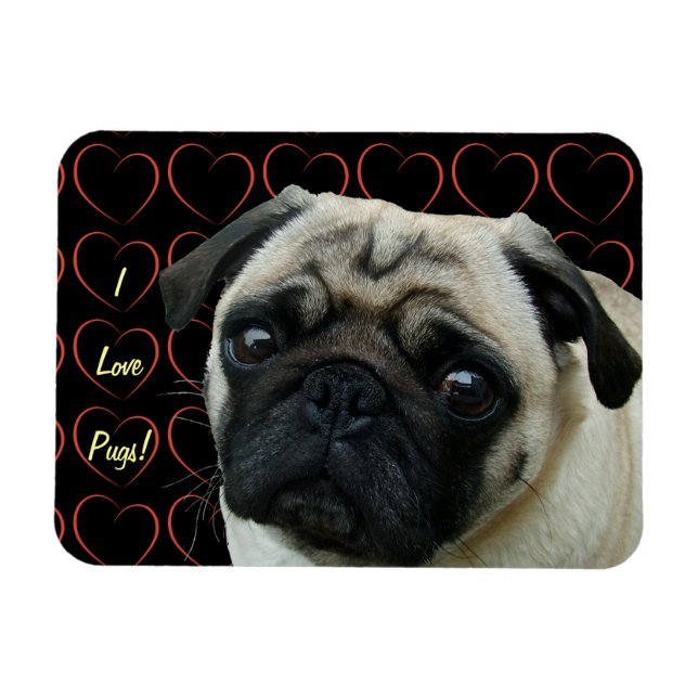 I Love Pugs with Hearts Flexible Magnet (Horizontal)