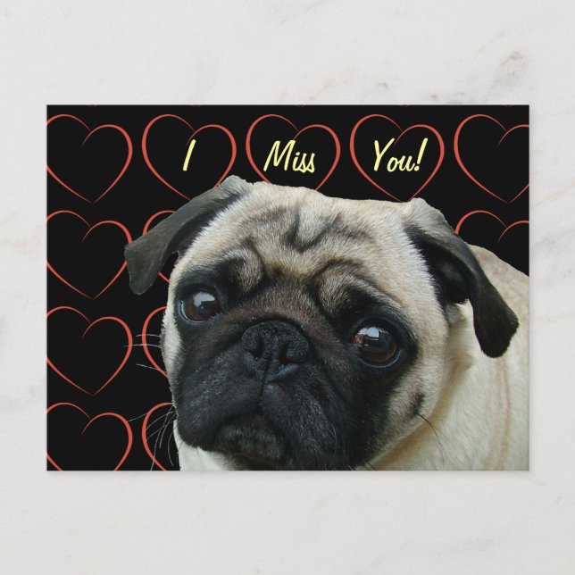 I Love Pugs with Hearts Postcard (Front)