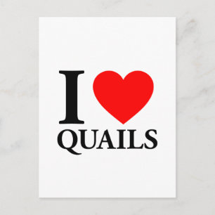 I Love Quails Postcard