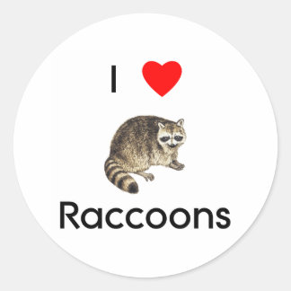 I love raccoons Sticker