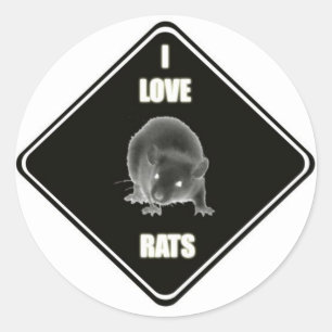 I love rats classic round sticker
