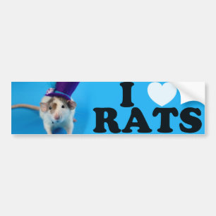I love Rats (in hat) Bumper Sticker