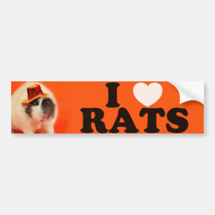 I love Rats (in hat) Bumper Sticker
