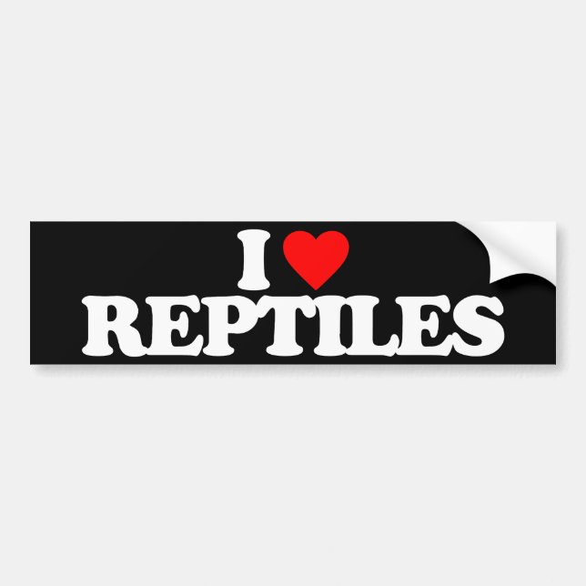I LOVE REPTILES BUMPER STICKER (Front)