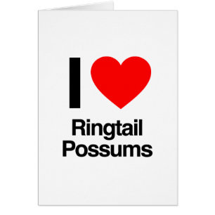 i love ringtail possums