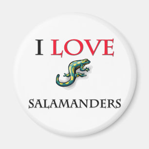 I Love Salamanders Magnet