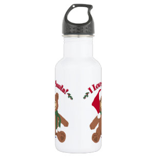 I Love Santa! Christmas Teddy Bear 532 Ml Water Bottle