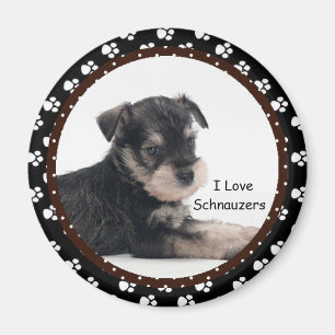 I love Schnauzers Magnet