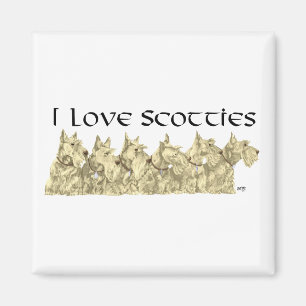 I Love Scotties - Wheaten Scottie Line-up Magnet