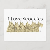 I Love Scotties - Wheaten Scottie Line-up