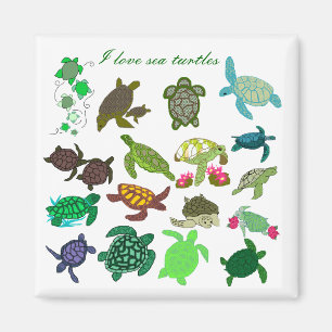 I love sea turtles magnet - Customised