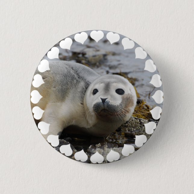 I Love Seals 6 Cm Round Badge (Front)
