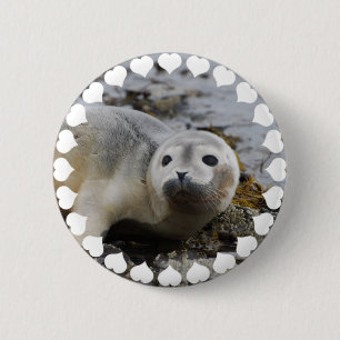 I Love Seals 6 Cm Round Badge