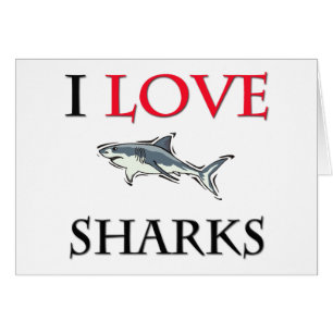 I Love Sharks