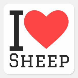 I love sheep square sticker