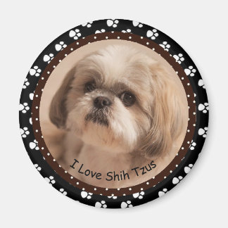 I love Shih Tzus Magnet