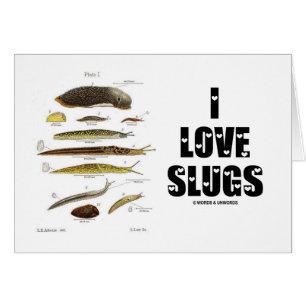 I Love Slugs (Naturalist / Nature)