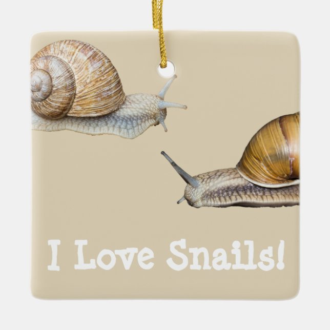 I Love Snails Snail Design Ceramic Tree Decoration (Front)