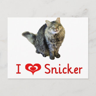 I love Snicker Postcards