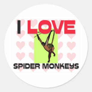 I Love Spider Monkeys Classic Round Sticker