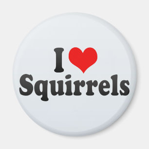 I Love Squirrels Magnet