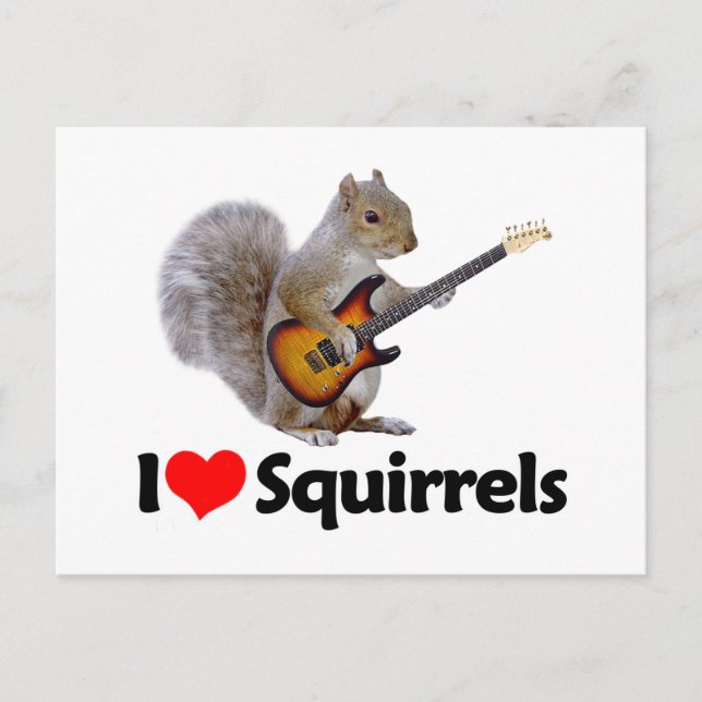 I Love Squirrels Postcard (Front)