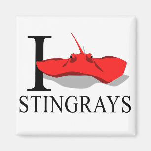I Love Stingrays Magnets