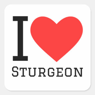 I love sturgeon square sticker