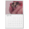 I love Sugar gliders calender