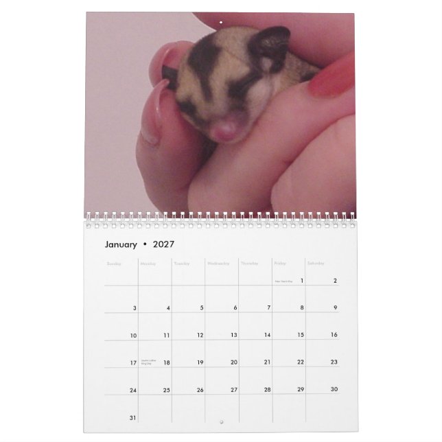 I love Sugar gliders calender Calendar (Jan 2027)
