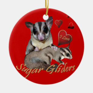 I Love Sugar Gliders ornament