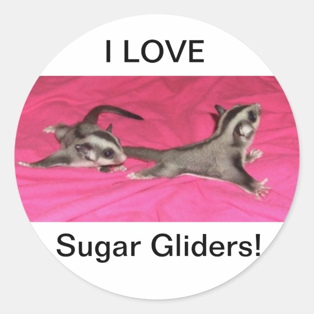I LOVE Sugar gliders! STICKER (Front)